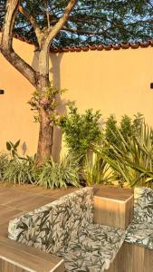 a garden with a tree and a wooden bench at Casa Moderna com Itens de Lazer in Suzano