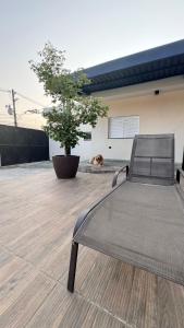 a bench sitting on a patio with a plant at Casa Moderna com Itens de Lazer in Suzano