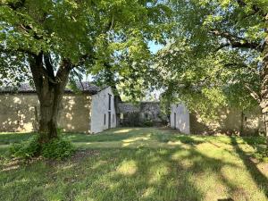an old stone building with a tree in the yard at Domaine du Cèdre Eternel in Saint-Colomb-de-Lauzun