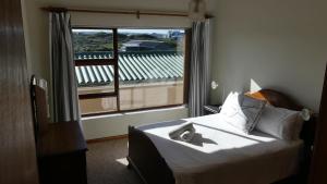 Un dormitorio con una cama y una ventana grande. en Oyster Catcher Stay And Explore, en Cape St. Francis