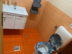 a small bathroom with a toilet and a sink at Âme de la nature in Nedeščina +34 photos