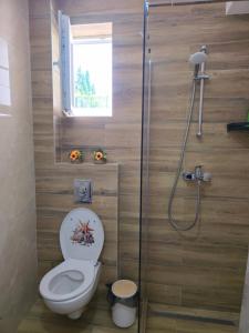 a bathroom with a toilet and a shower at Moderan apartman Klaudija in Igalo