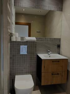 Un baño con inodoro, lavabo y espejo. en Apartament Przy Morzu, en Gdansk