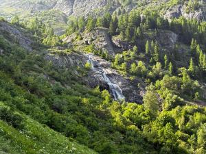 Gallery image of Appartement Beau-Soleil avec vue sur le glacier des Grands in Finhaut +10 photos