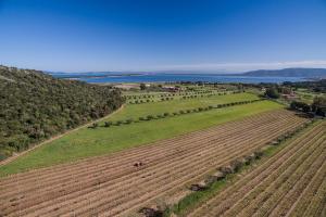 an aerial view of a field with a farm implement at Agriturismo Ristorante Monte Argentario in Monte Argentario