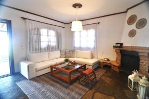 Palm Nest Villa with private pool in Chalkidiki的休息区