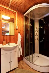 a bathroom with a shower and a sink at Erdei Kabin Nagymaros in Nagymaros
