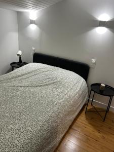 a bedroom with a bed with two tables and two lights at Charmante maison rénovée in Saint-Ciers-sur-Gironde
