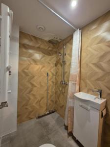 a bathroom with a shower and a toilet and a sink at Agroturystyka u Rolnika - Apartament z klimatem in Stare Nowakowo