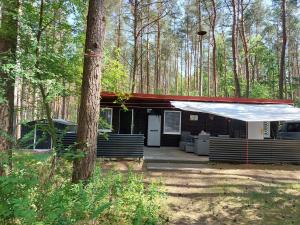a black cabin with a red roof in the woods at Ferienhaus im Wald Mecklenburgische Seenplatte in Wesenberg