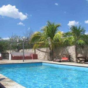 a swimming pool with palm trees in front of a wall at Casona Santa Cruz Palomeque in Mérida