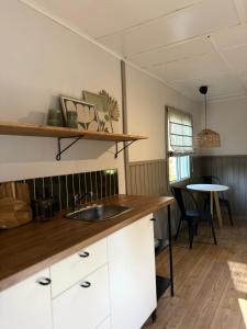 Kuchyň nebo kuchyňský kout v ubytování Off-grid Swedish Cabin