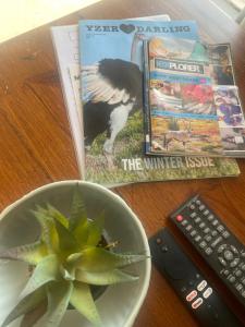 a plant in a bowl next to a book and a remote control at Sunset View Self- Catering Yzerfontein in Yzerfontein