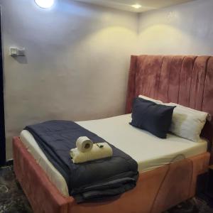 Ένα ή περισσότερα κρεβάτια σε δωμάτιο στο WELTONS Apartment BABA YUSUF