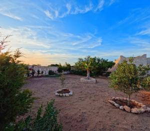 Κήπος έξω από το Zen Beach House - Sidi Kaouki