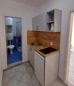 a small kitchen with a sink and a toilet at Apartments Mitrovići Miločer in Sveti Stefan