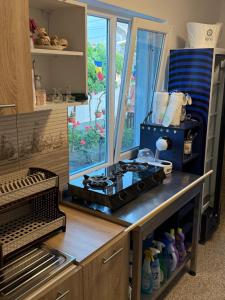 a kitchen with a stove on a counter with a window at Casuta Alga Sulina in Sulina