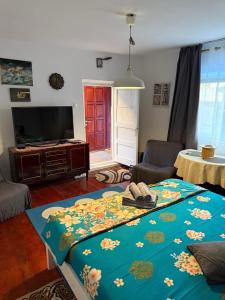 a living room with a large bed with a blue blanket at Casuta Alga Sulina in Sulina