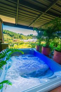 Piscina di Hotel Bambu Guatape o nelle vicinanze