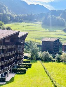 瓦尔·蒂利兹Aparthotel Mountain River Resort的一栋带有草坪的建筑物，旁边还有两栋建筑物