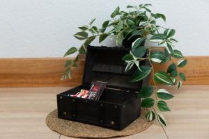a black box with a potted plant in it at Apartman oak Nikola's lamp in Gospić