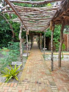 Um jardim em Vila do Junco
