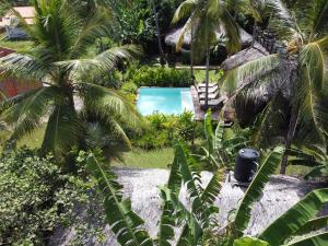 Um jardim em Vila do Junco