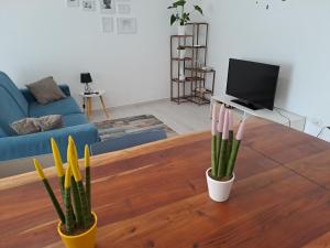 Gallery image of Appartamento Frailis in Àrbatax