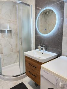 a bathroom with a shower and a sink and a mirror at Apartment Gabriela in Rakovica +34 photos
