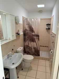 un bagno con wc, lavandino e doccia di Rosamir Calm a Puerto del Carmen