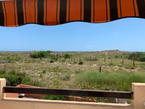 a bench sitting under an umbrella looking out at a field at Un petit Paradis, 5 minutes à pied plage Robinson, terrasse, parking privé, WIFI, vue sur dunes et mer, très ressourçant, à Marseillan Plage in Marseillan