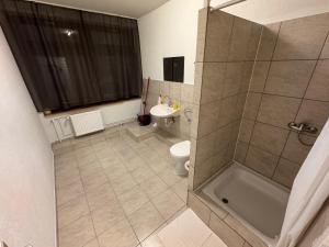 a bathroom with a shower and a toilet and a sink at F-F Haus Schlierbach in Schlierbach