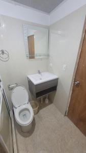 バジェドゥパルにあるApartamentos Rubioのトイレと洗面台付きのバスルーム