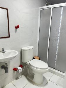Un baño de Tropical Dreams