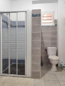 a bathroom with a toilet and a walk in shower at Les hauts de beline Salines in Le Gosier +21 photos
