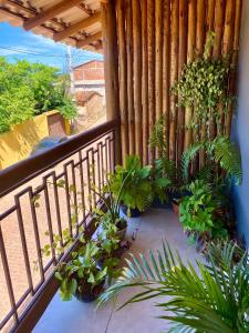 a balcony with a bunch of plants on it at Suíte Lençóis in Lençóis