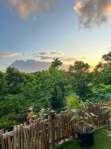 Příroda nedaleko apartmánu + 29 fotografií