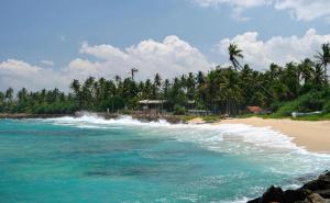a beach with palm trees and the ocean at Gurty House in Weligama