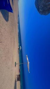 an overhead view of a beach and the ocean at تاهيتي باي الجراوله in Marsa Matruh