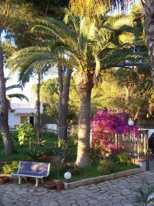 a blue bench in a park with palm trees at Villa Chiara - Vittoria in Vittoria