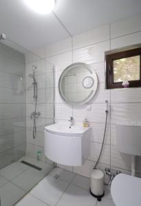 ブシュテニにあるCasa Antonia Busteniのトイレ、洗面台、鏡のあるバスルーム +55枚の写真