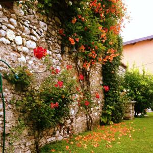 Ogród w obiekcie Casa Angela