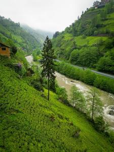 Foto dalla galleria di Sisorti bungalow otel a Çamlıhemşin