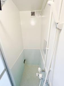 baño con ducha a ras de suelo con azulejos verdes en tkm北小岩1丁目103, en Tokio