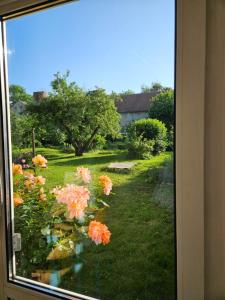 a view from a window of a yard with flowers at Gartenhaus Schlanstedt in Schlanstedt