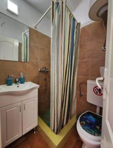 Vonios kambarys apgyvendinimo įstaigoje Apartments Zenit dar 37 nuotraukos