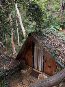 a small house in the middle of a forest at Wild Heart Glamping in Ella