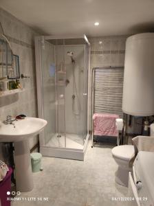 a bathroom with a shower and a sink and a toilet at Maison de vacances individuelle toute équipée in Dampierre-sous-Bouhy