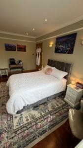 伦敦Stunning double bedroom Greenwich London with private bathroom的一间卧室配有一张大床和地毯。