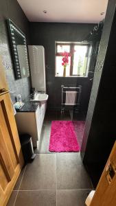 伦敦Stunning double bedroom Greenwich London with private bathroom的一间带水槽和粉红色地毯的浴室